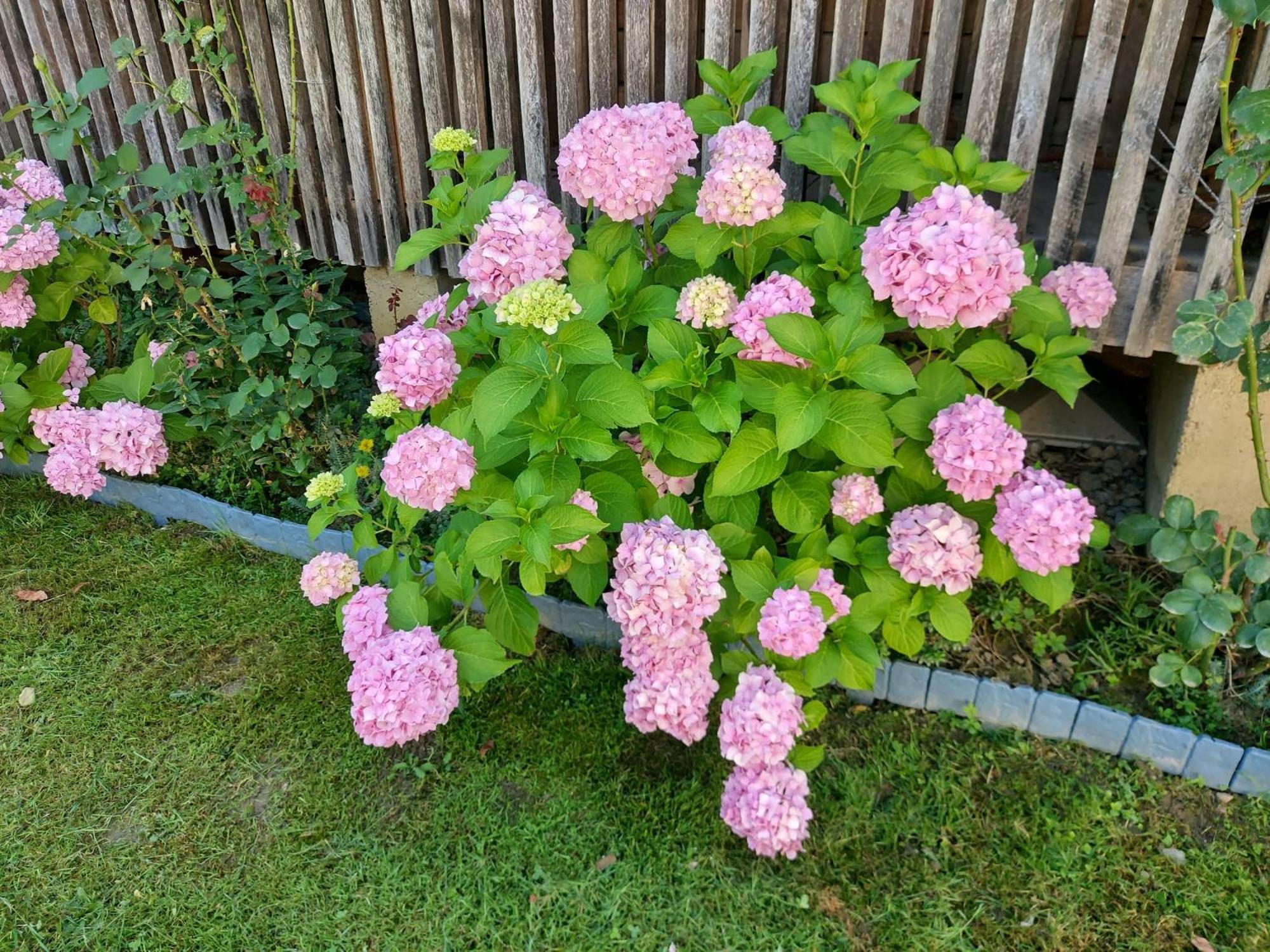 Villa Kuca Za Odmor Mazuran Karlovac Esterno foto