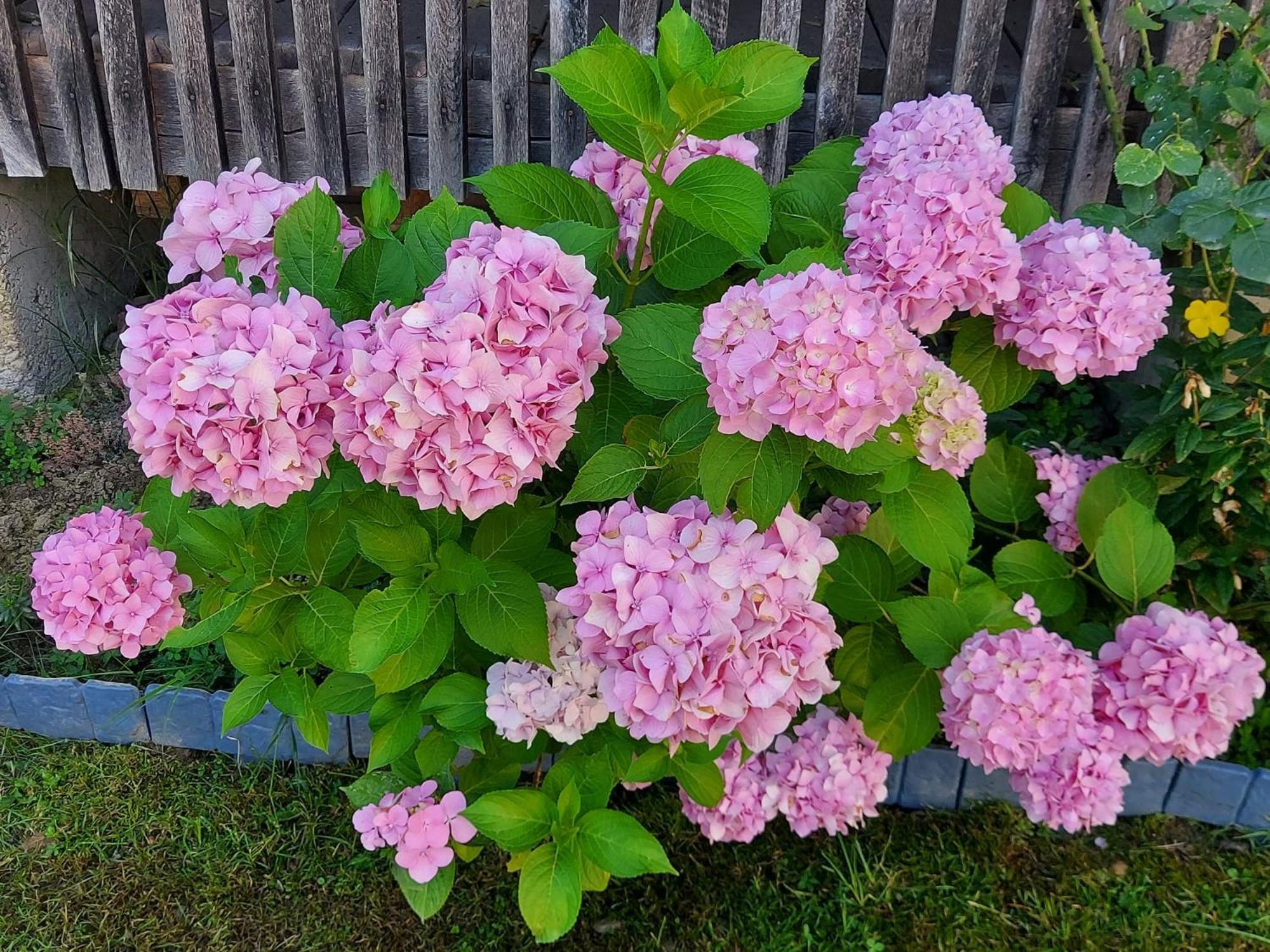 Villa Kuca Za Odmor Mazuran Karlovac Esterno foto