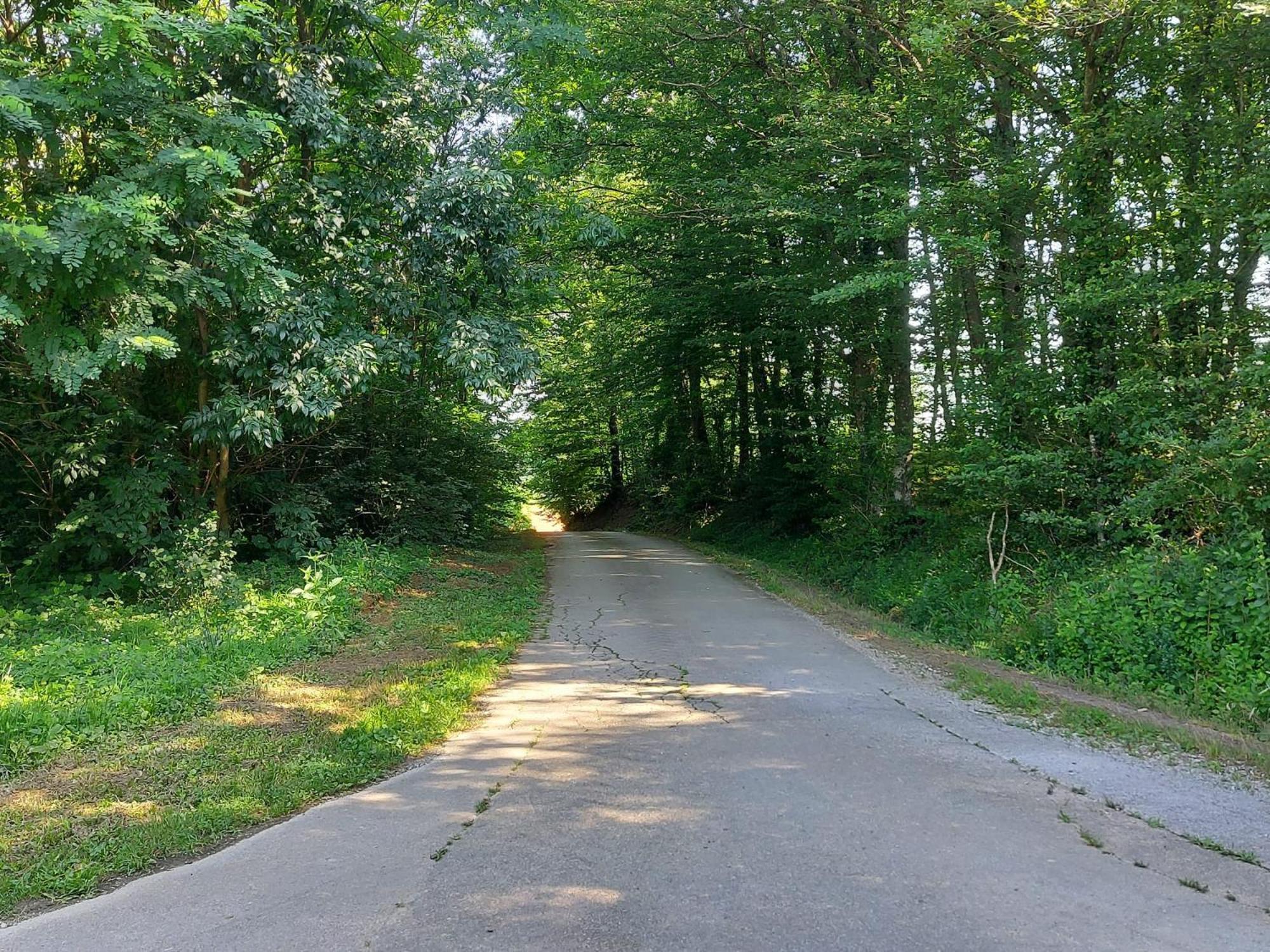 Villa Kuca Za Odmor Mazuran Karlovac Esterno foto