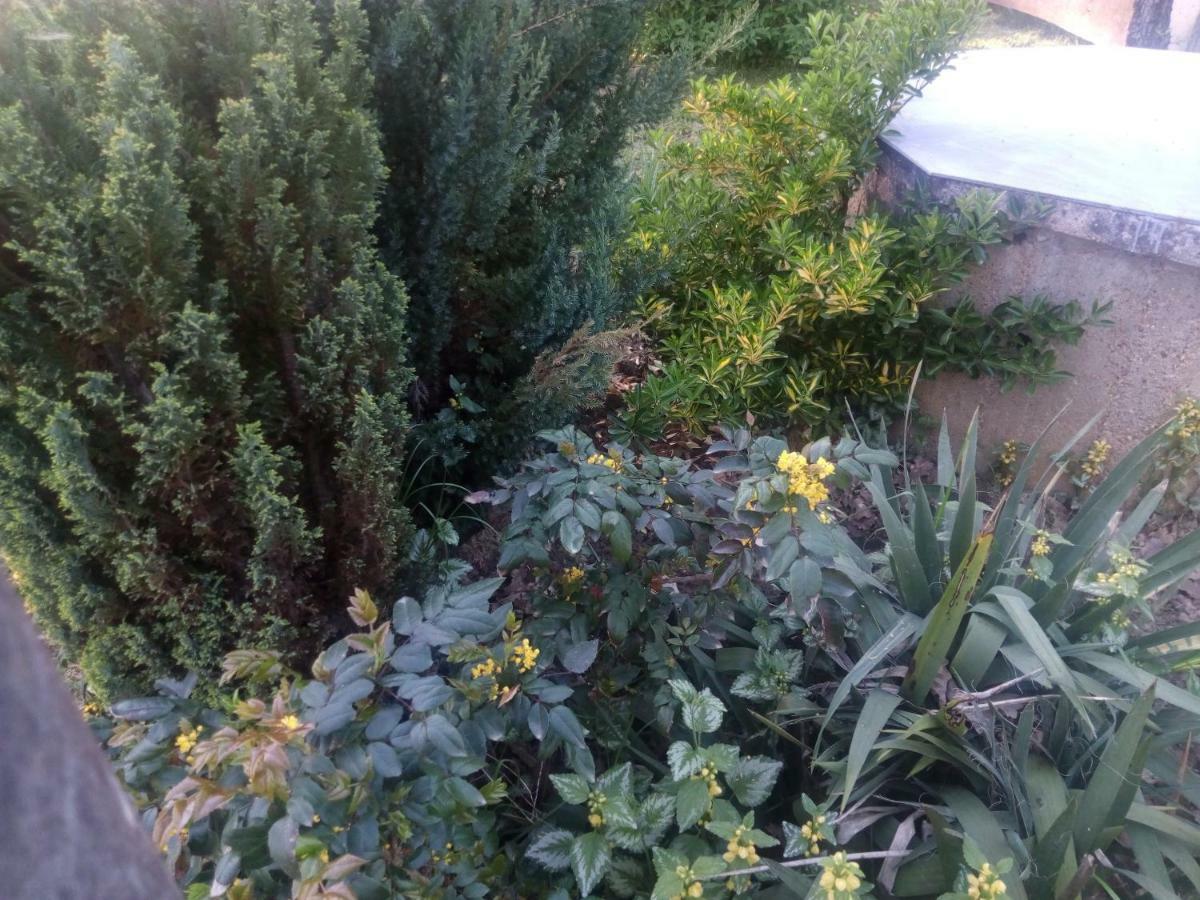 Villa Kuca Za Odmor Mazuran Karlovac Esterno foto