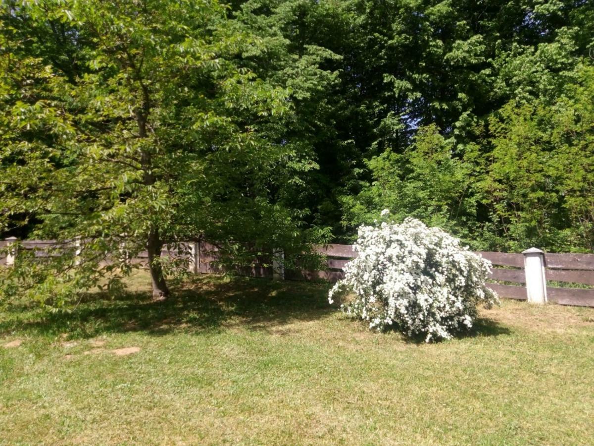Villa Kuca Za Odmor Mazuran Karlovac Esterno foto